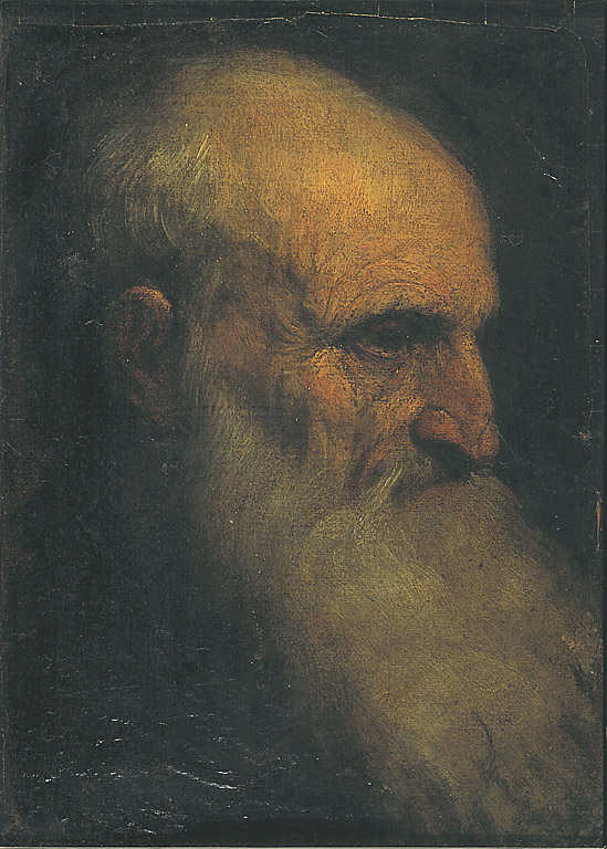 Testa di vecchio, testa d'uomo (dipinto, opera isolata) di Negretti Jacopo detto Palma il Giovane (sec. XVI)