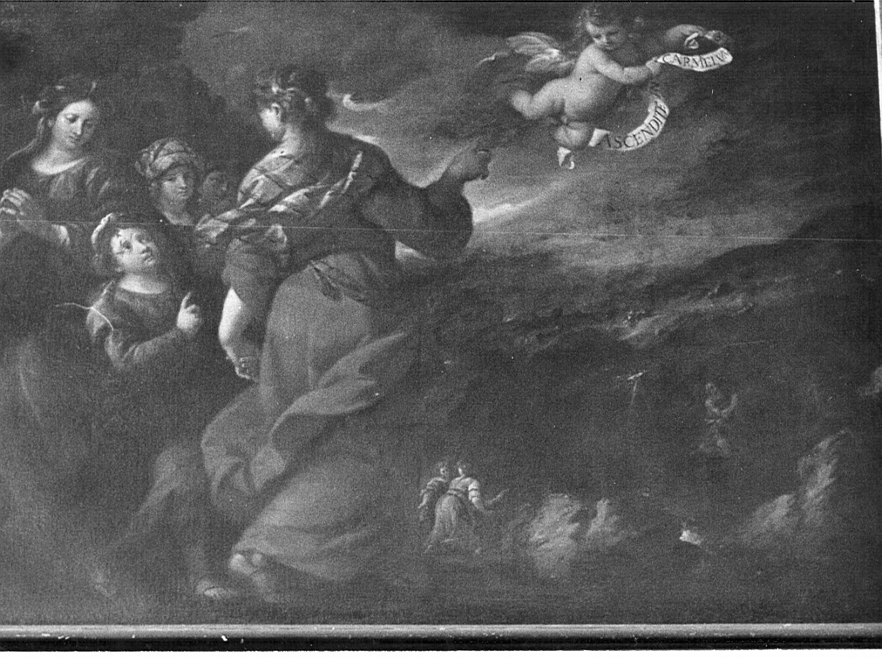 Salita al Carmelo (dipinto, opera isolata) di Nuvolone Giuseppe (sec. XVII)