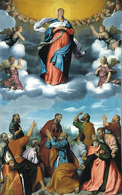 Assunzione della Vergine, Madonna Assunta (dipinto, opera isolata) di Moroni Giovan Battista (sec. XVI)