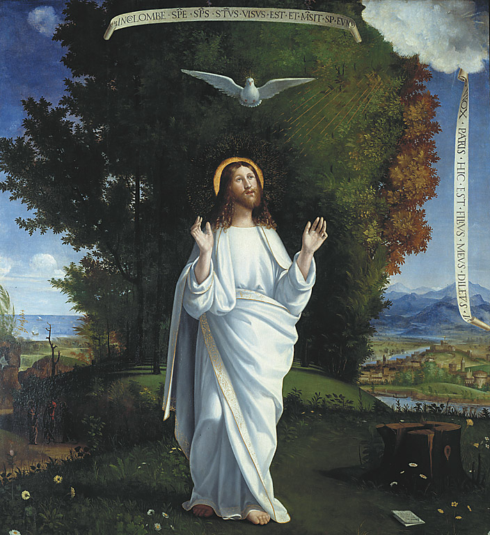 Trasfigurazione, Trasfigurazione (dipinto, opera isolata) di Previtali Andrea detto Cordeliaghi (sec. XVI)
