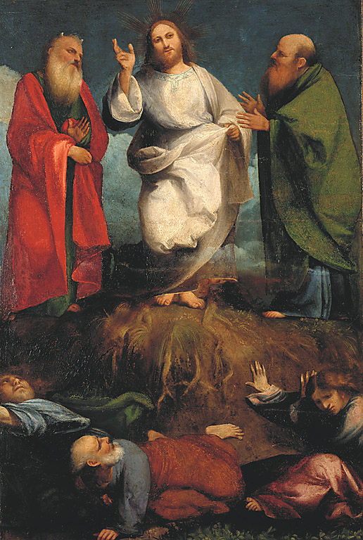 Trasfigurazione, Trasfigurazione (scomparto di trittico, frammento) di De Sacchis Giovanni Antonio detto Pordenone (sec. XVI)