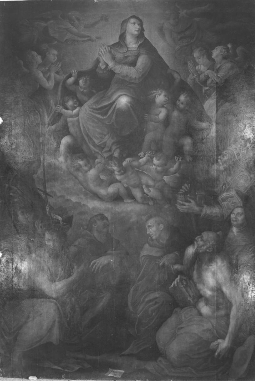 La Vergine assunta e santi, Assunzione della Madonna con San Agostino, Santa Chiara, San Giovanni Battista, San Francesco, Sant'Antonio, San Petronio, Santa monaca (dipinto, opera isolata) di Fontana Prospero (sec. XVI)