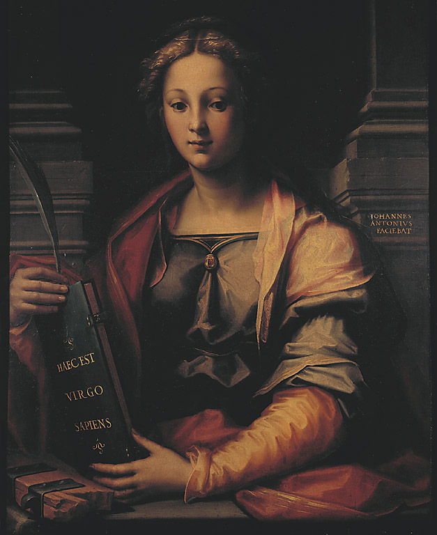 Santa Caterina d'Alessandria, Santa Caterina d'AlesSandria (dipinto, opera isolata) di Sogliani Giovanni Antonio (sec. XVI)