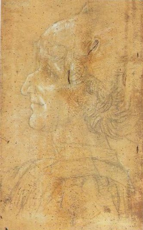 testa d'uomo, testa d'uomo (scomparto di polittico, elemento d'insieme) di Alemanno Pietro (sec. XV)