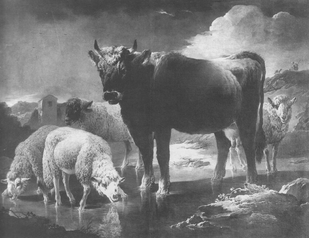 Mucca e pecore al fiume, mucca e pecore al fiume (dipinto, opera isolata) di Ross Philip Peter detto Rosa da Tivoli (sec. XVII)