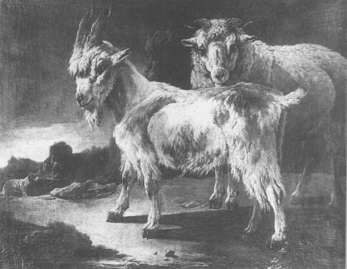 Caprette, Capre (dipinto, elemento d'insieme) di Ross Philip Peter detto Rosa da Tivoli (maniera) (sec. XVII)