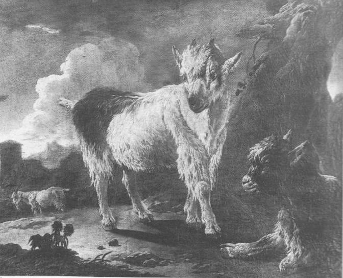 Due caprette e un cane, Capre con cane (dipinto, elemento d'insieme) di Ross Philip Peter detto Rosa da Tivoli (maniera) (sec. XVII)