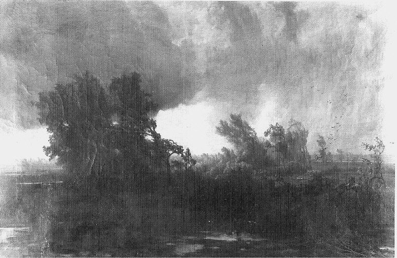 Un turbine, paesaggio con alberi (dipinto, opera isolata) di Bisi Fulvia (sec. XIX)
