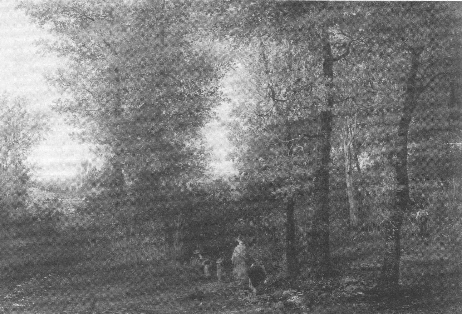 Interno di un bosco, paesaggio con alberi (dipinto, opera isolata) di Gorra Giulio (sec. XIX)