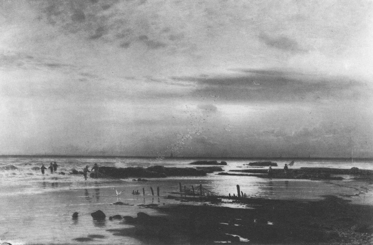 Marea bassa, marina con pescatori (dipinto, opera isolata) di Steffani Luigi (sec. XIX)