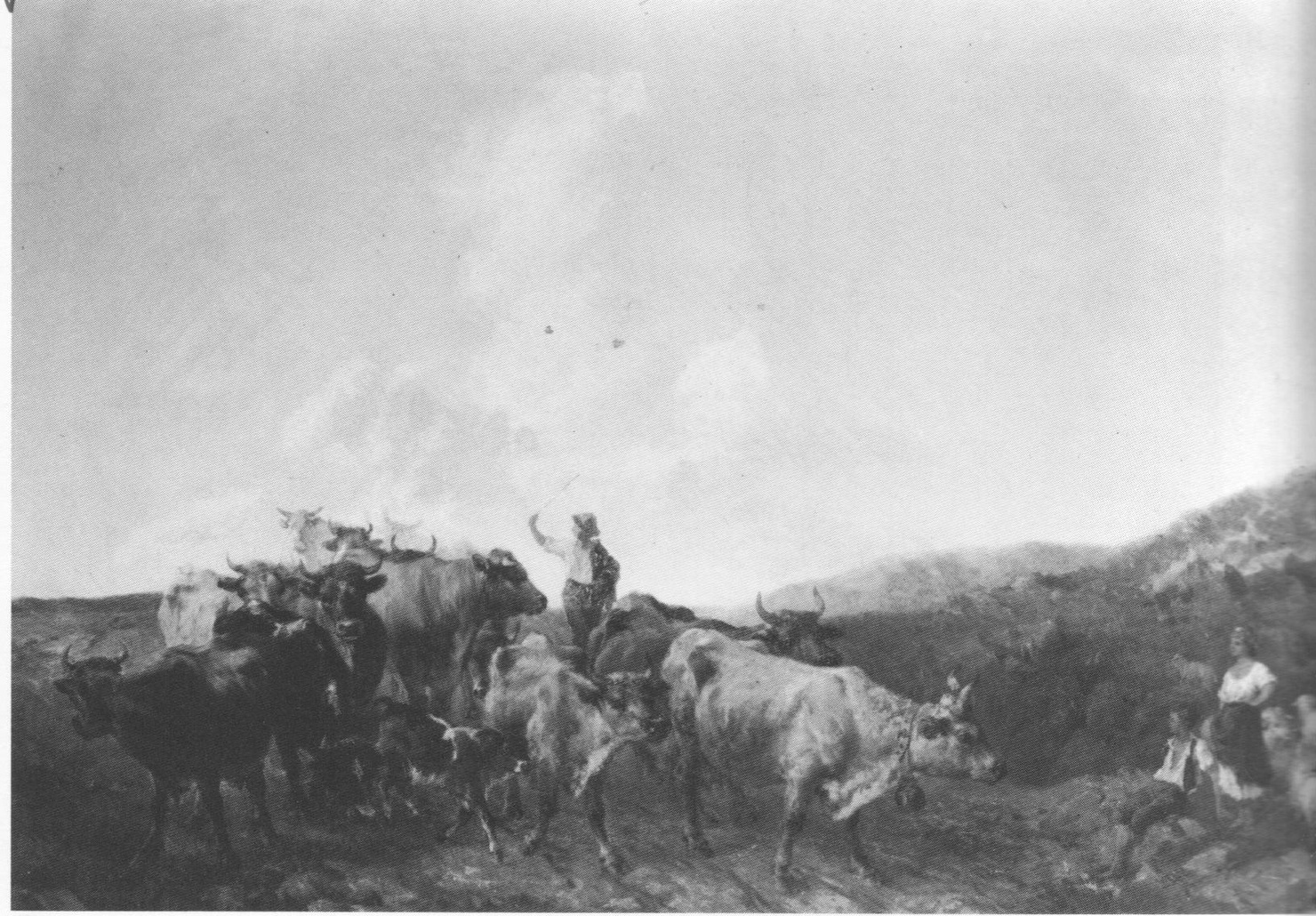 Il ritorno dal pascolo, pastori al pascolo con tori e mucche (dipinto, opera isolata) di Zannoni Giuseppe (sec. XIX)