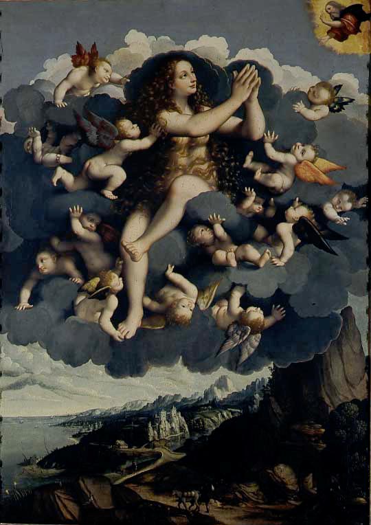 Elevazione della Maddalena, Santa Maria Maddalena portata in cielo dagli angeli (dipinto, opera isolata) di Marco d'Oggiono (e aiuti) (sec. XVI)