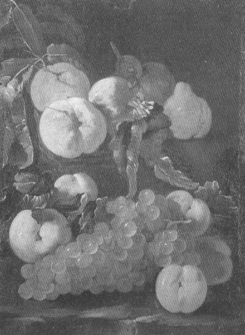 Natura morta con uva e pesche, natura morta con frutta (dipinto, opera isolata) - ambito romano (seconda metà sec. XVII)