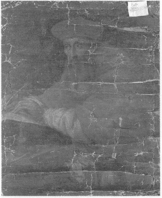 ritratto di prelato domenicano, ritratto di frate domenicano (dipinto, opera isolata) - ambito italiano (sec. XVII)