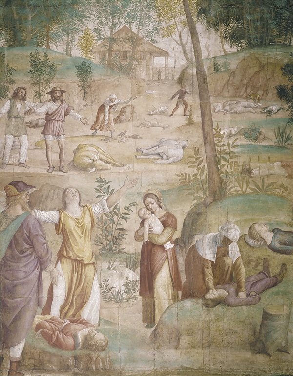 morte dei primogeniti, morte dei primogeniti degli egiziani (dipinto, ciclo) di Luini Bernardino (primo quarto sec. XVI)