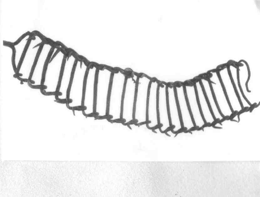 collaro, opera isolata - produzione europea (fine/inizio secc. XVII/ XVIII)