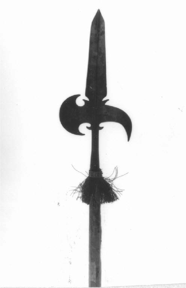 sergentina, opera isolata - produzione europea (seconda metà sec. XVII)