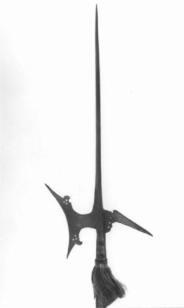 alabarda, opera isolata - produzione Italia settentrionale (fine/inizio secc. XVI/ XVII)