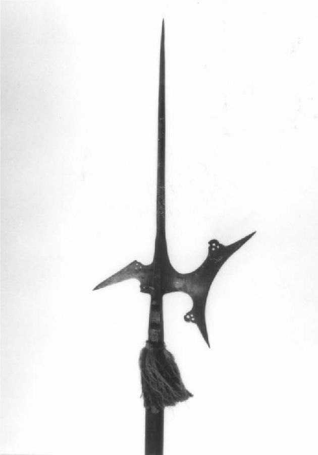 alabarda, opera isolata - produzione Italia settentrionale (fine/inizio secc. XVI/ XVII)