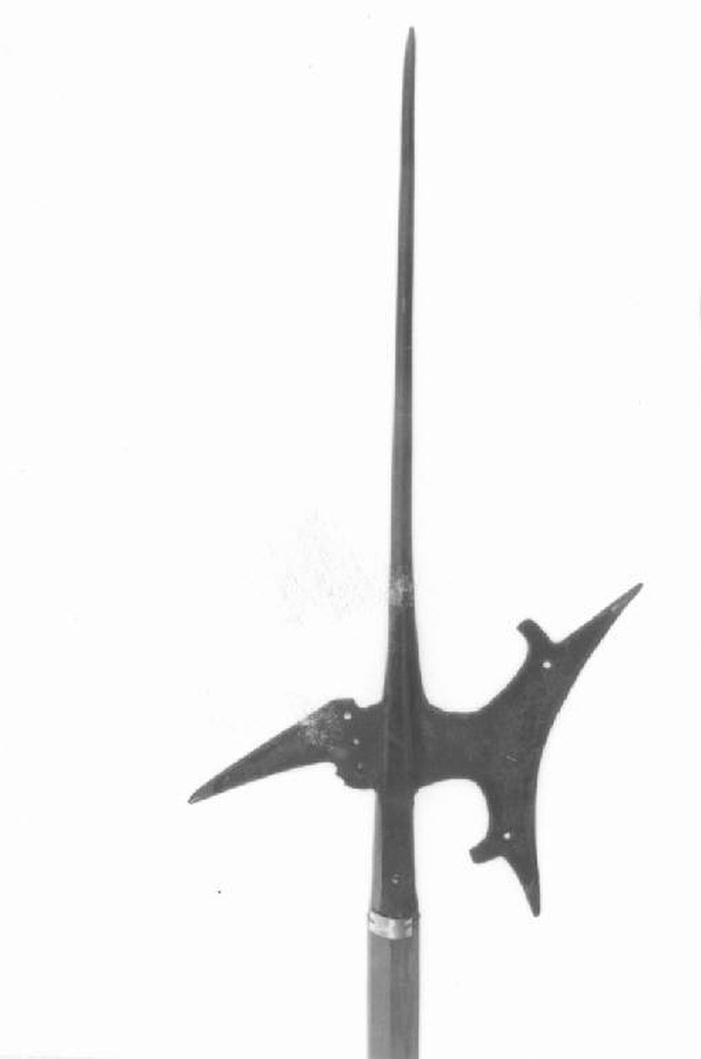alabarda, opera isolata - produzione Italia settentrionale (fine/inizio secc. XVI/ XVII)