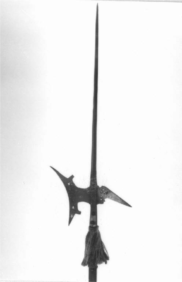 alabarda, opera isolata - produzione Italia settentrionale (fine/inizio secc. XVI/ XVII)