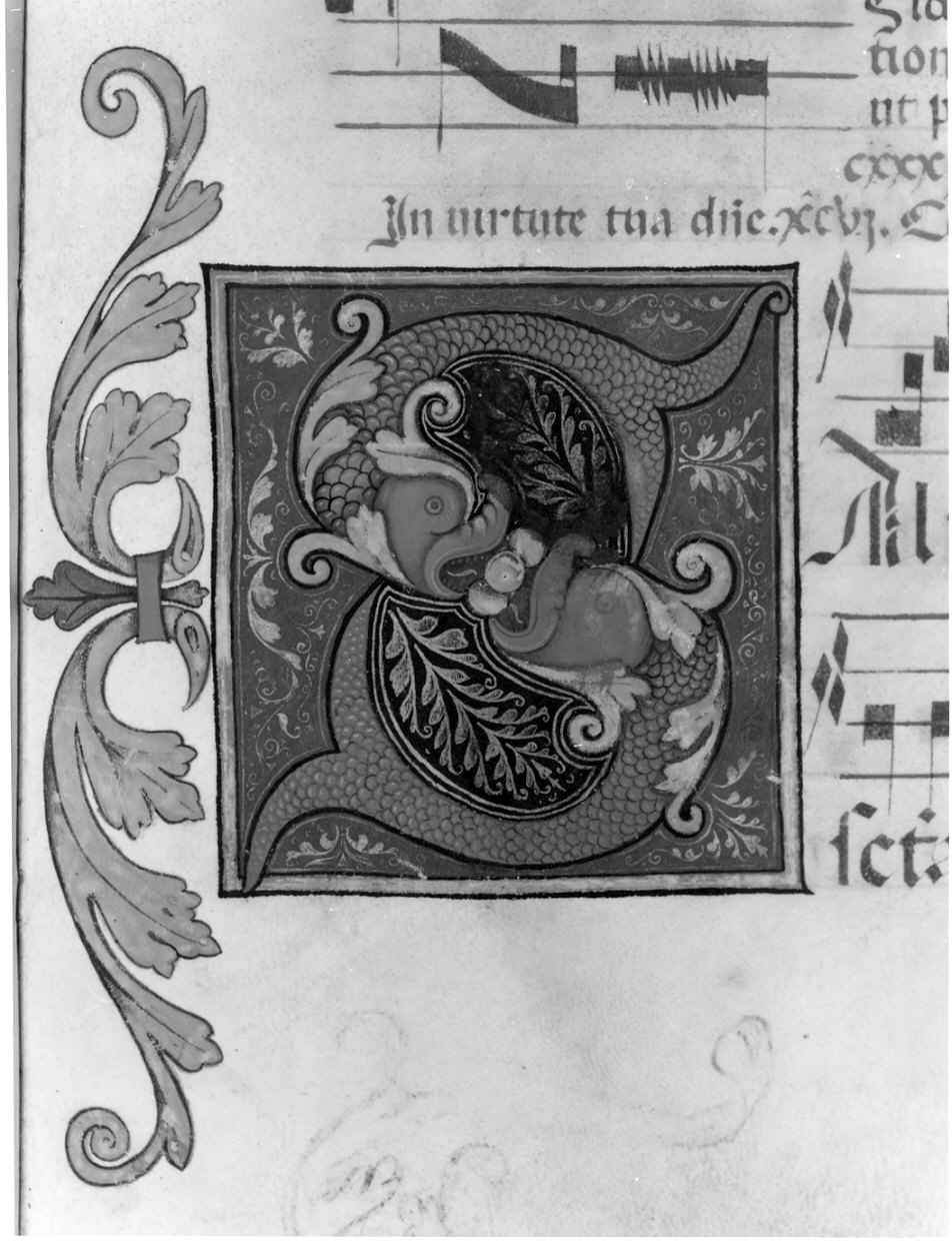 miniatura - bottega italiana (sec. XVI)