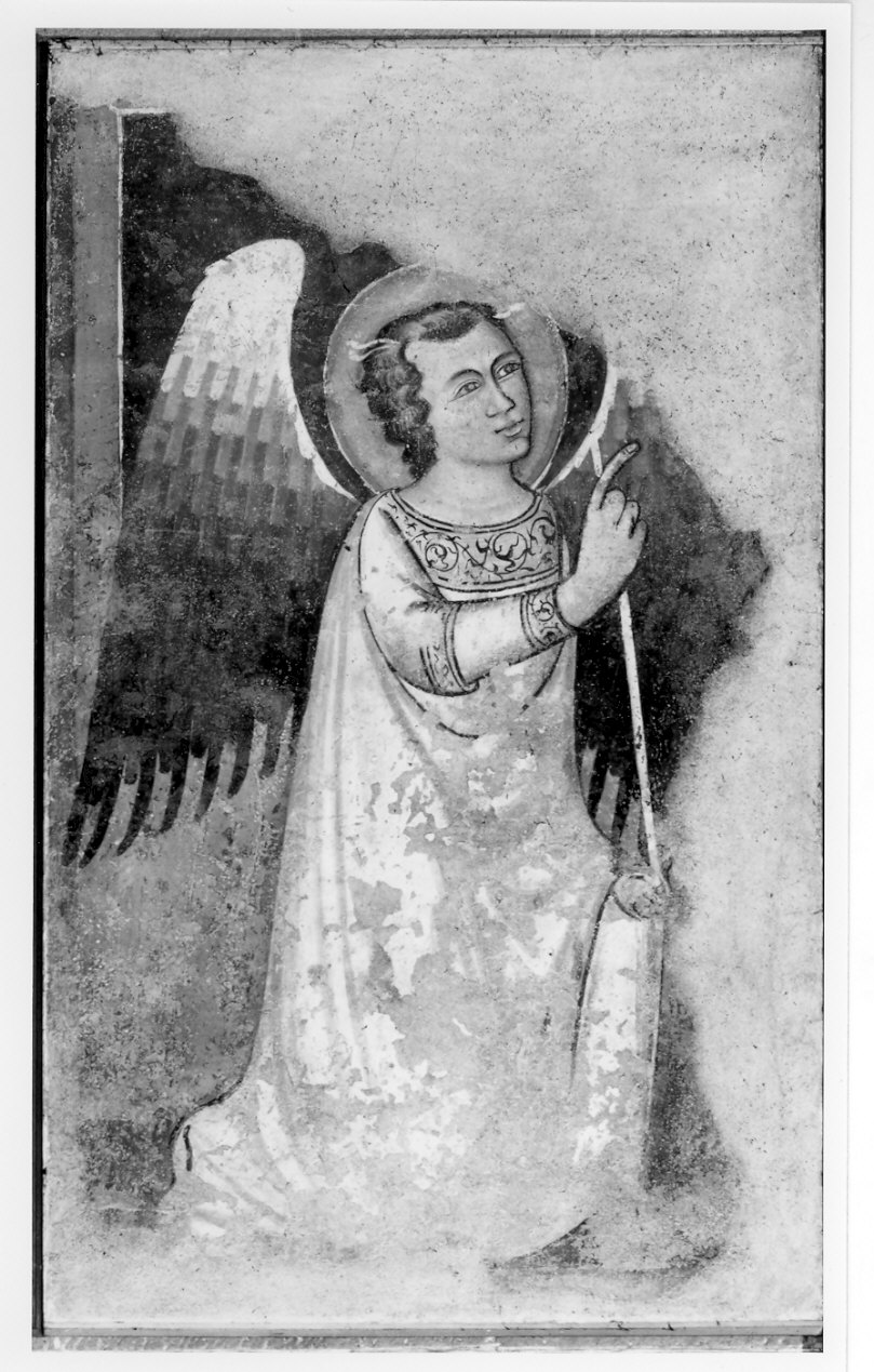 angelo annunciante (dipinto, opera isolata) di Maestro della Tomba Fissiraga (attribuito) (prima metà sec. XIV)