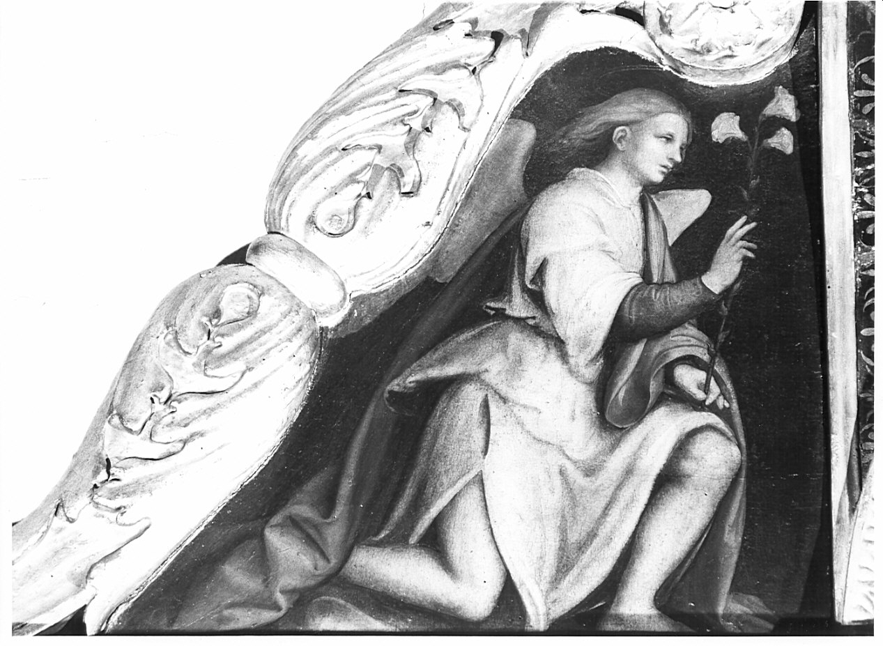 angelo annunciante (scomparto di polittico, elemento d'insieme) di Piazza Albertino (attribuito) (sec. XVI)