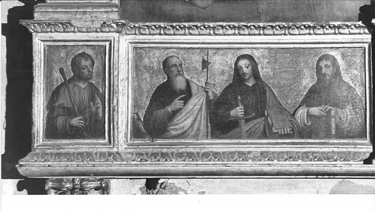 San Mattia apostolo/ San Paolo apostolo/ Santo apostolo (?) (dipinto, elemento d'insieme) di Piazza Albertino (attribuito) (sec. XVI)