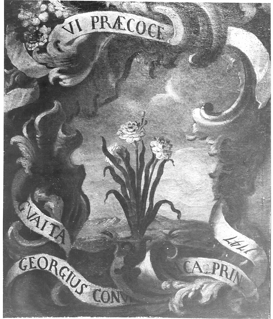 fiori (dipinto, opera isolata) - ambito lombardo (sec. XVIII)