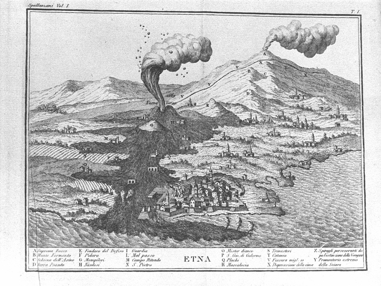 veduta del monte Etna (stampa) di Rampoldi Carlo (sec. XIX)