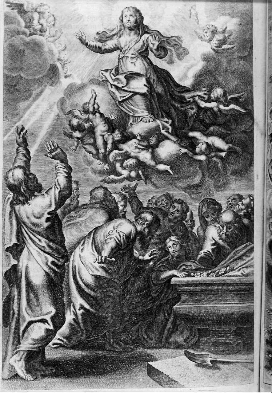 ASSUNZIONE DELLA MADONNA v. anche Madonna Assunta (stampa, elemento d'insieme) di Galle Cornelis il Giovane (attribuito) (sec. XVII)
