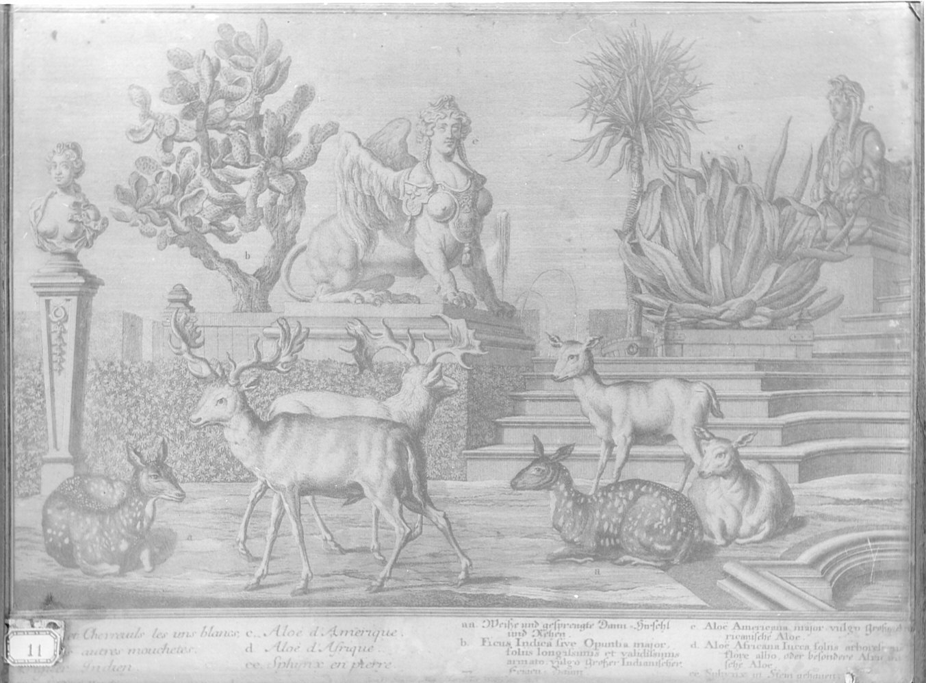 Animali/ sculture/ piante (stampa) di Fridrich Jacob Andreas, Macheeij Bergami (sec. XVIII)