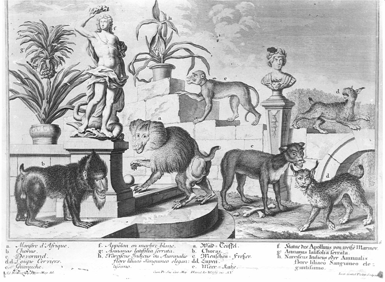 Animali/ sculture/ piante (stampa) di Thelott Jacob Gottlieb (sec. XVIII)