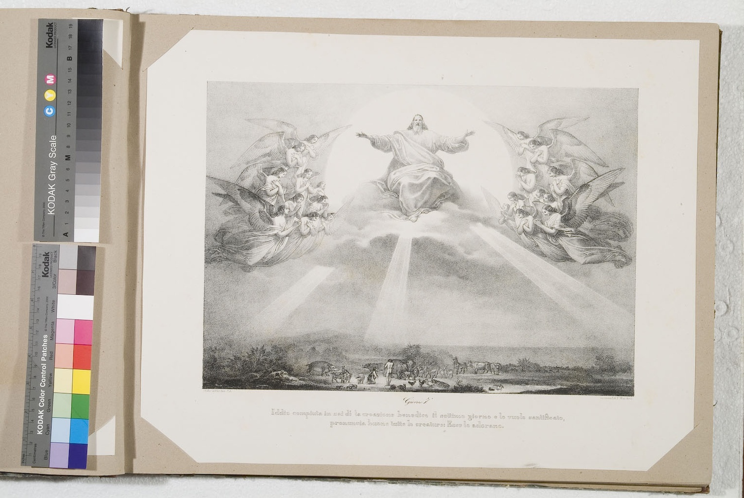 Dio benedice il settimo giorno (stampa) di Gallina Gallo (terzo quarto sec. XIX)