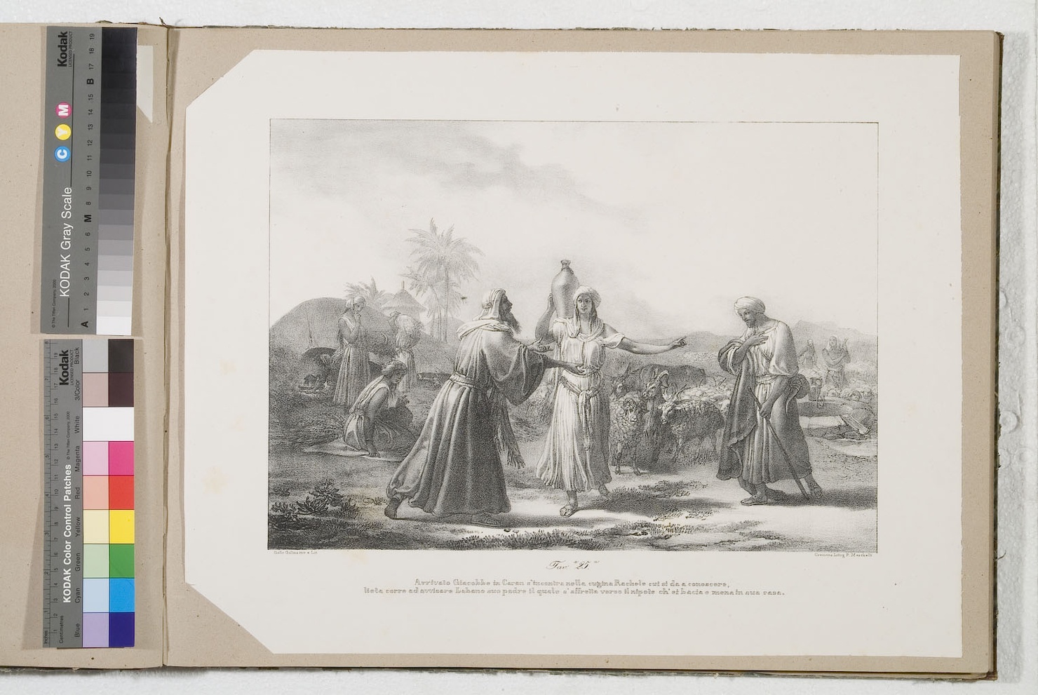 Giacobbe e Rachele al pozzo (stampa) di Gallina Gallo (terzo quarto sec. XIX)