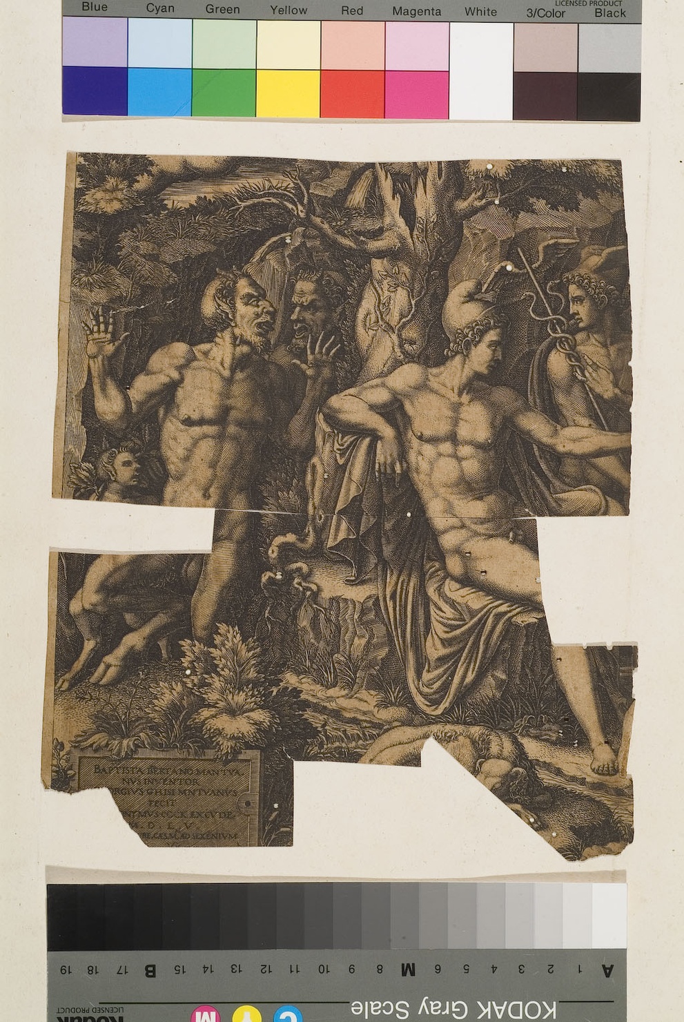 Mercurio (stampa) di Ghisi Giorgio, Bertano Battista (sec. XVI)