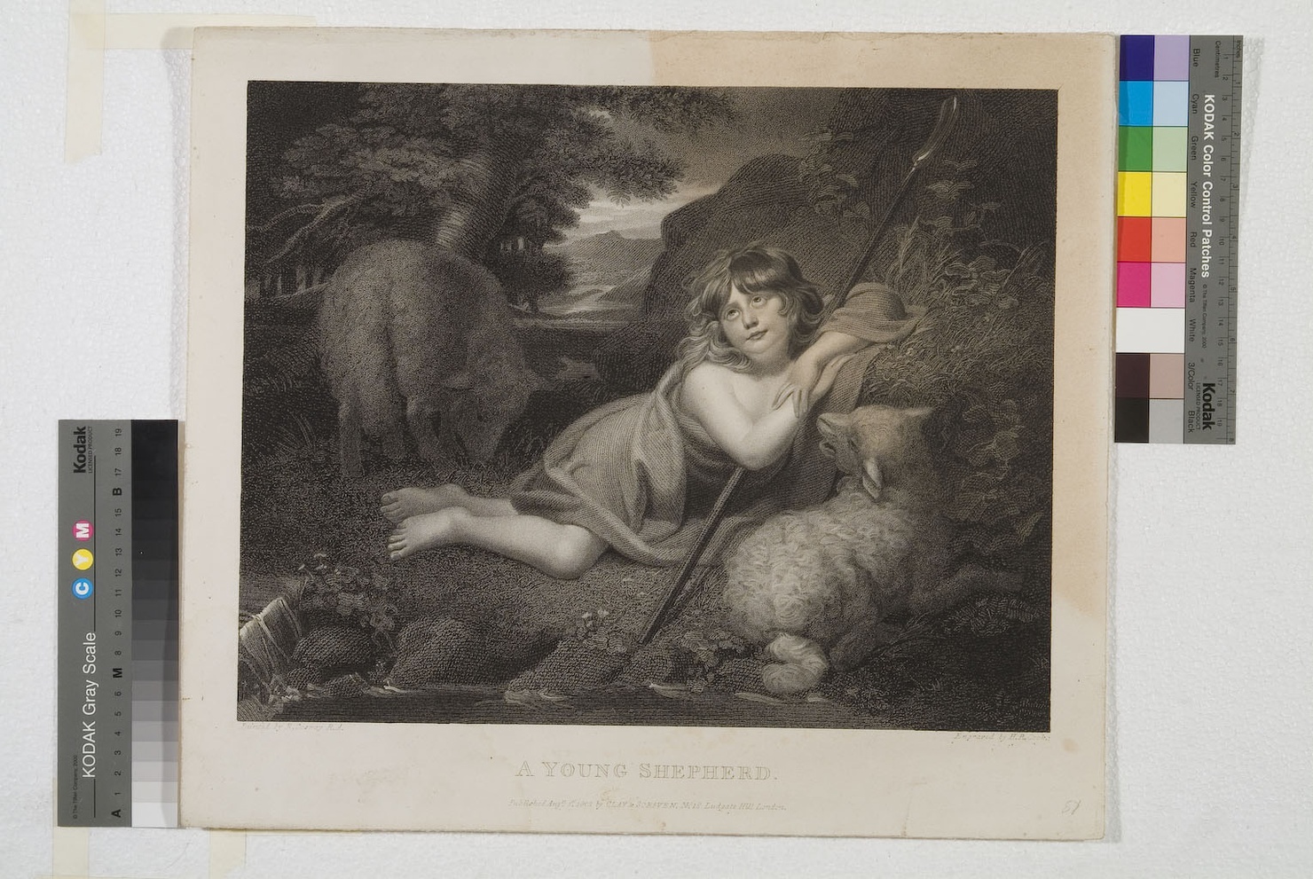 bambino con pecore (stampa tagliata) di Cook Henry R, Cosway Richard (sec. XIX)