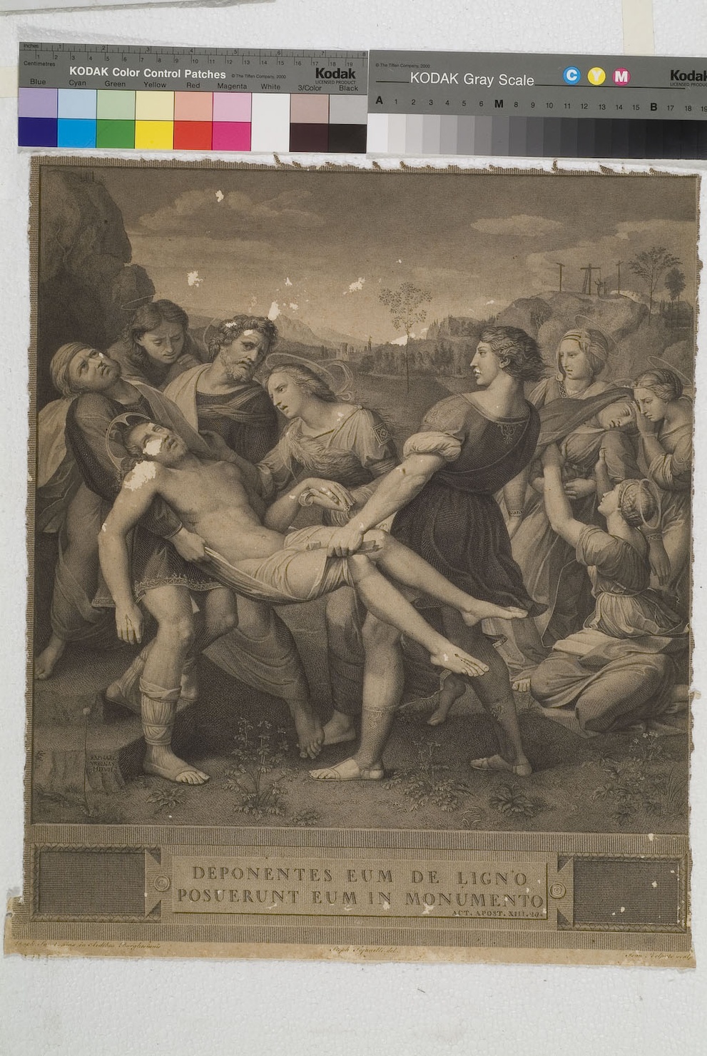 Pala Baglioni, deposizione di Cristo dalla croce (stampa tagliata) di Tofanelli Andrea, Volpato Giovanni, Sanzio Raffaello (inizio sec. XIX)