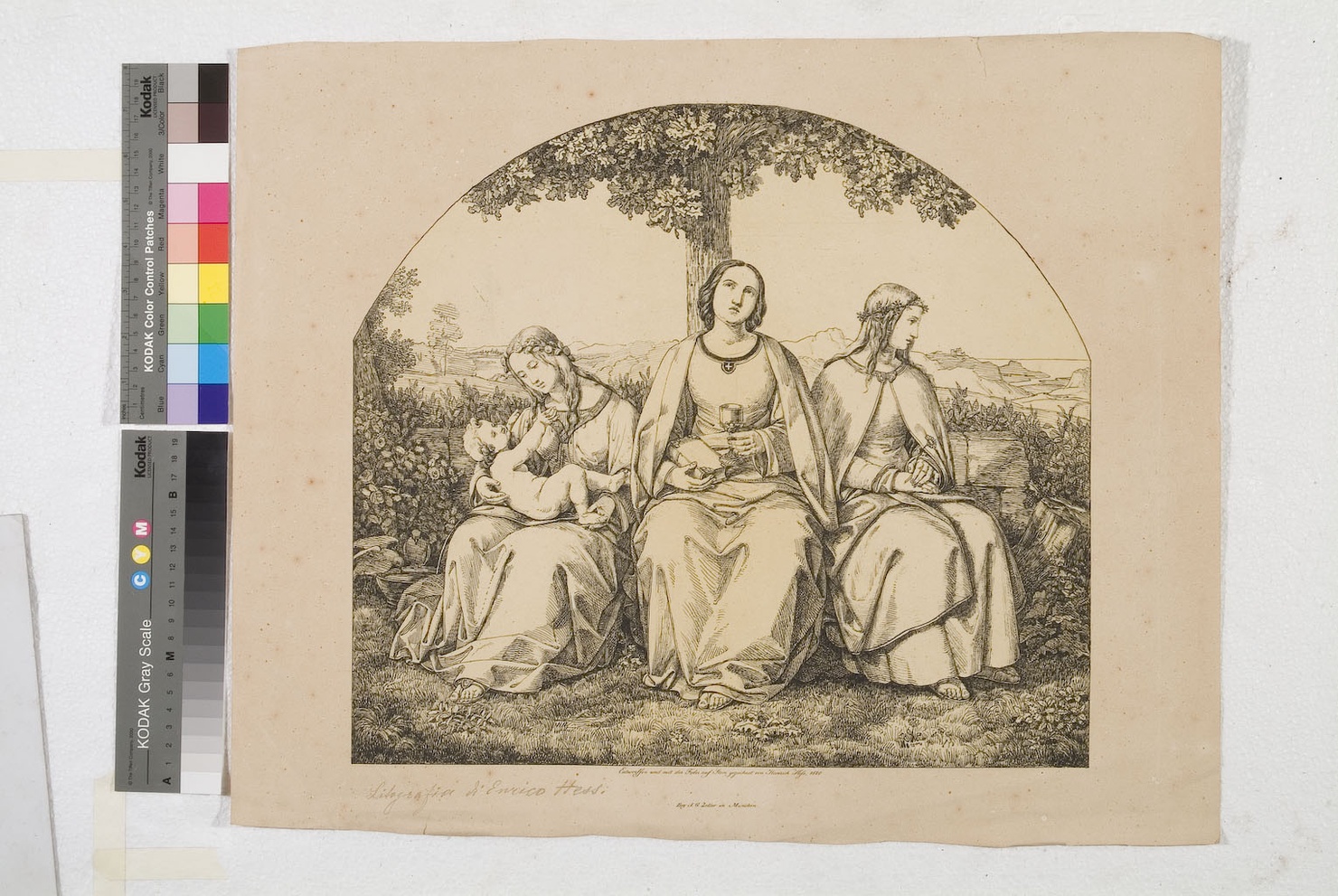 Virtù Cardinali (stampa) di Hess Heinrich (sec. XIX)