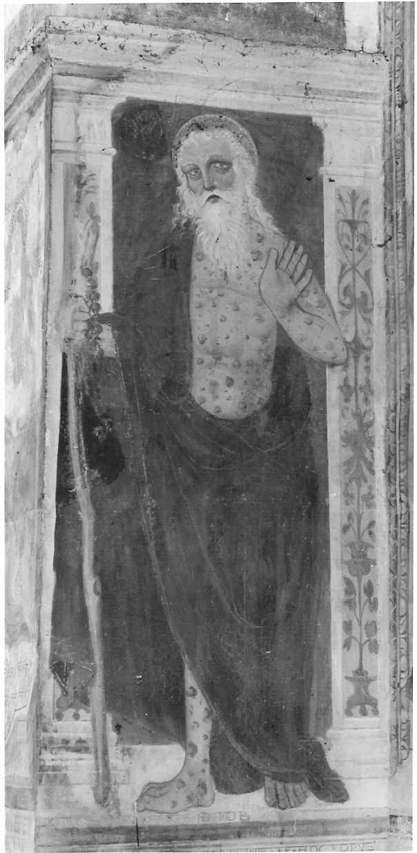 San Giobbe (dipinto, opera isolata) - ambito lombardo (sec. XVI)