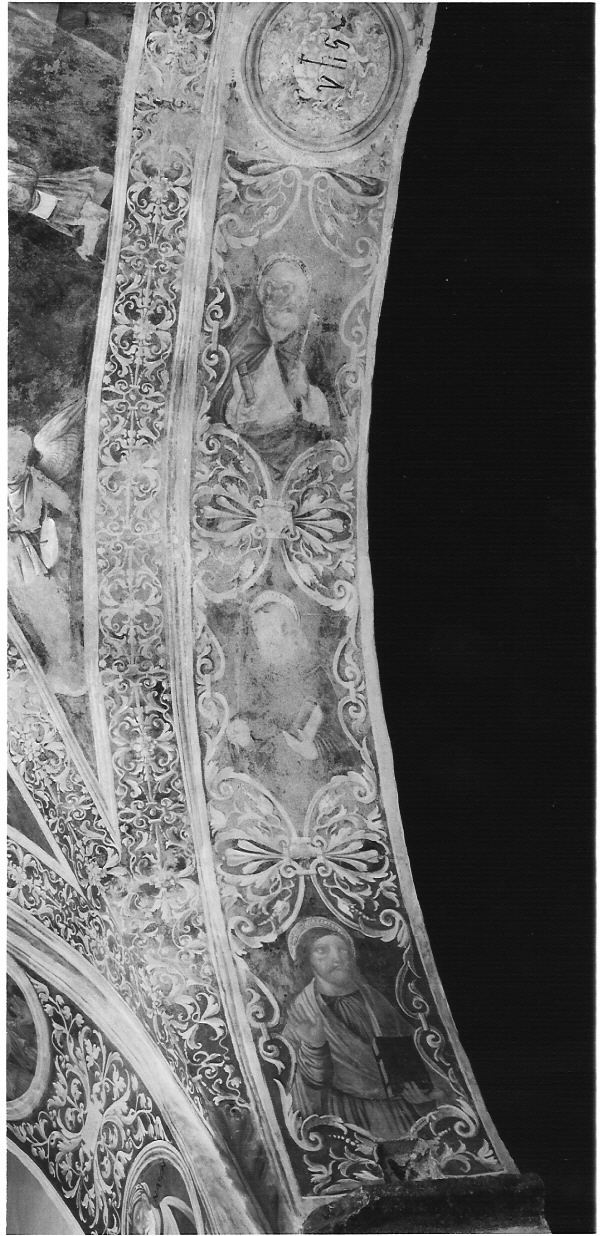 San Barnaba/ San Giacomo il Minore (?)/ San Pietro/ motivi decorativi a grottesche/ emblema bernardiniano (dipinto) di De Magistris Sigismondo (sec. XVI)