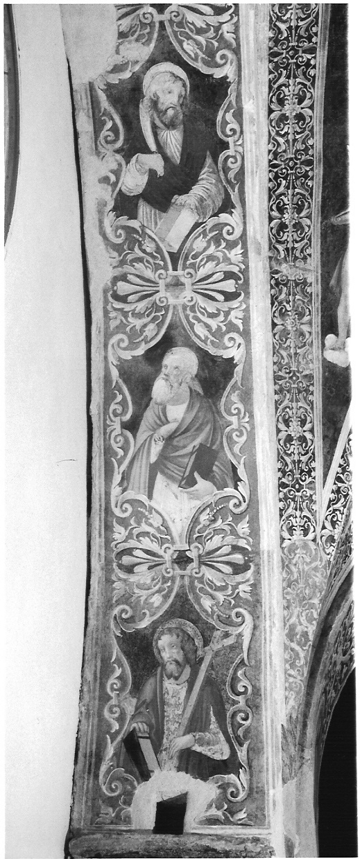 San Bartolomeo/ San Paolo (?)/ Sant'Andrea/ motivi decorativi a grottesche (dipinto) di De Magistris Sigismondo (sec. XVI)