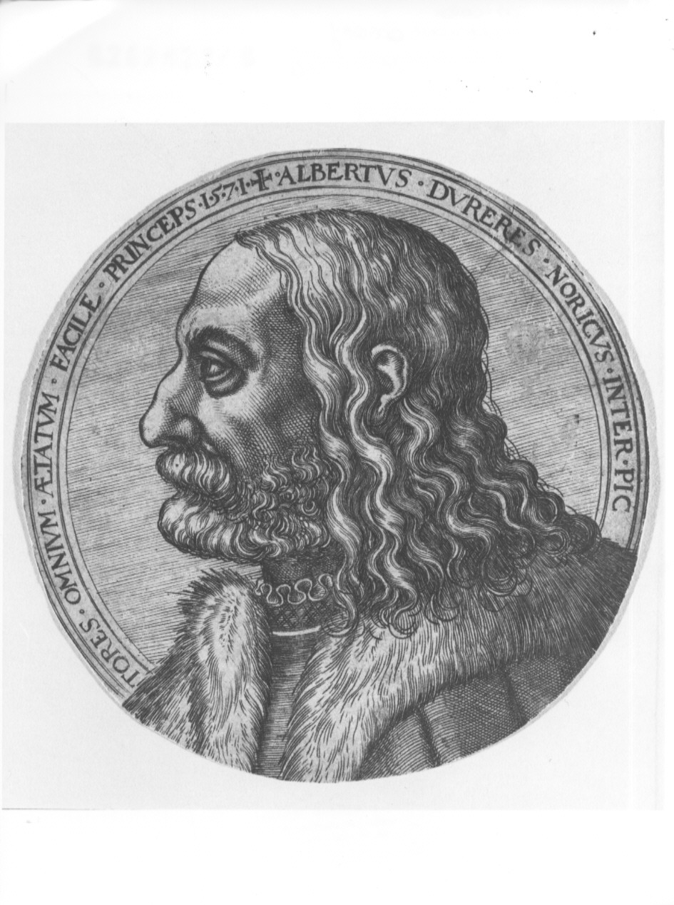 ritratto di Albrecht Durer (stampa, frammento) di Durer Albrecht (sec. XVI)