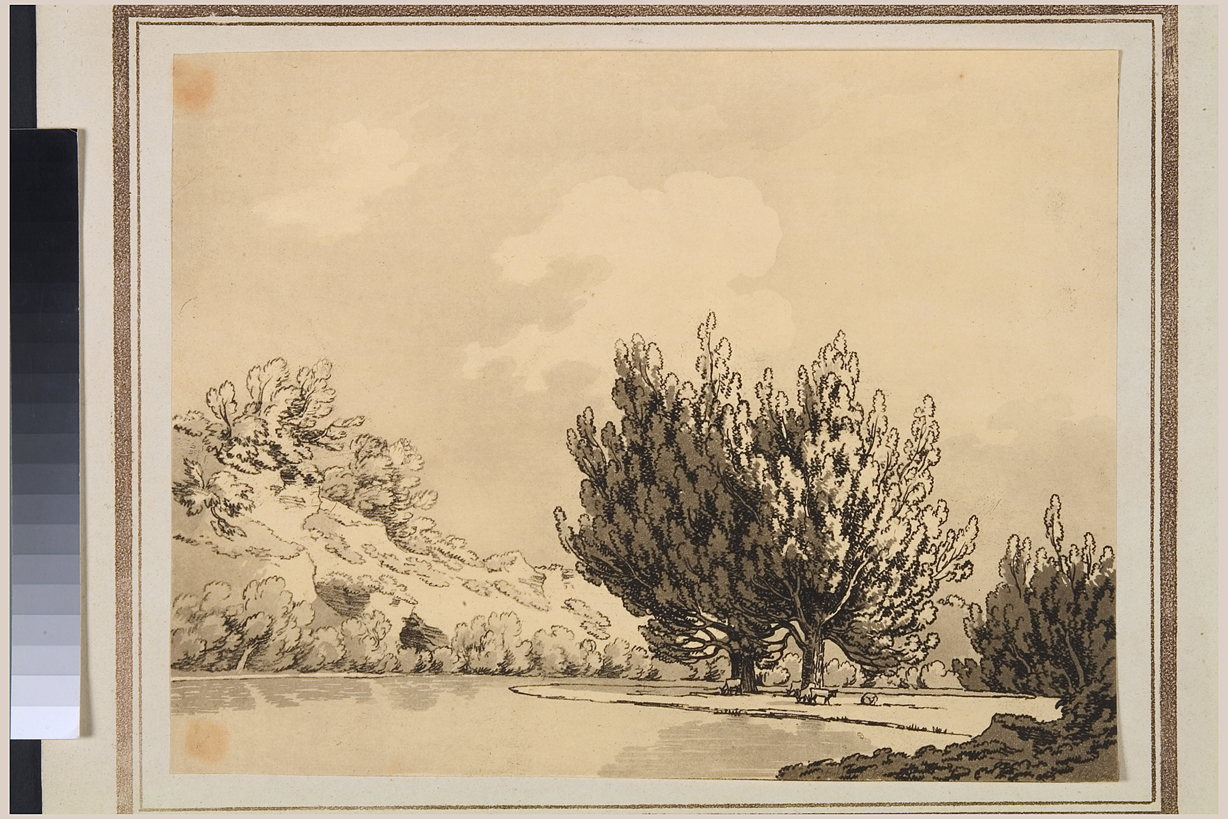 paesaggio con alberi (stampa) di Cozens John Robert (seconda metà sec. XVIII)