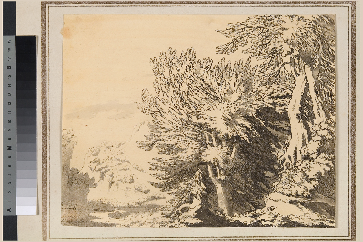 paesaggio con alberi (stampa) di Cozens John Robert (seconda metà sec. XVIII)