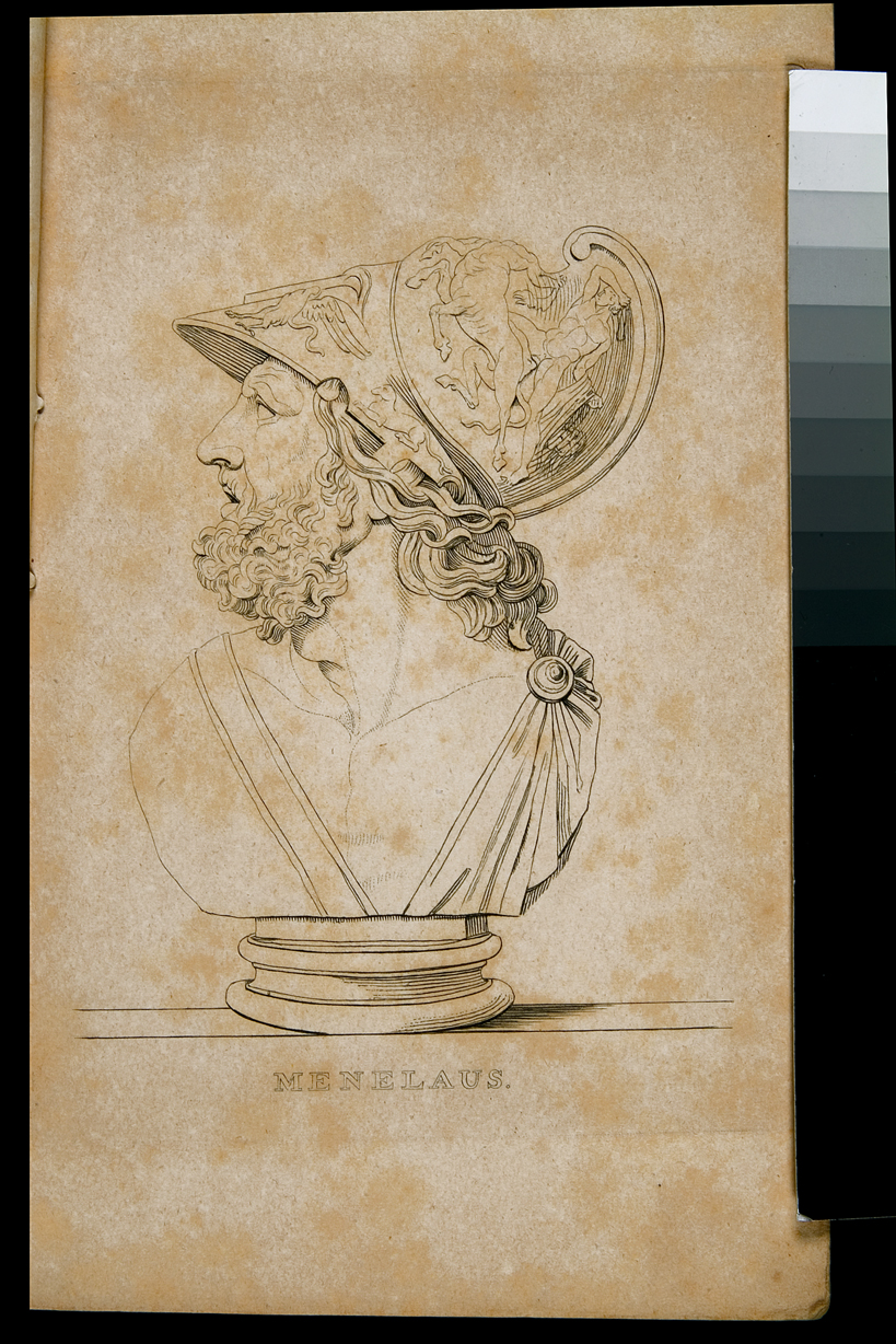busto di Menelao (stampa) di Parson W (sec. XIX)