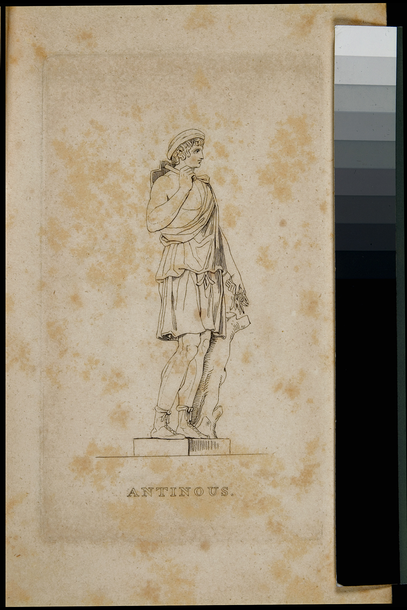 Antinoo (stampa) di Parson W (sec. XIX)