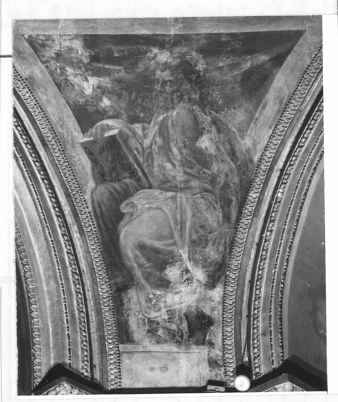 evangelista (dipinto, opera isolata) di Campi Antonio (sec. XVI)