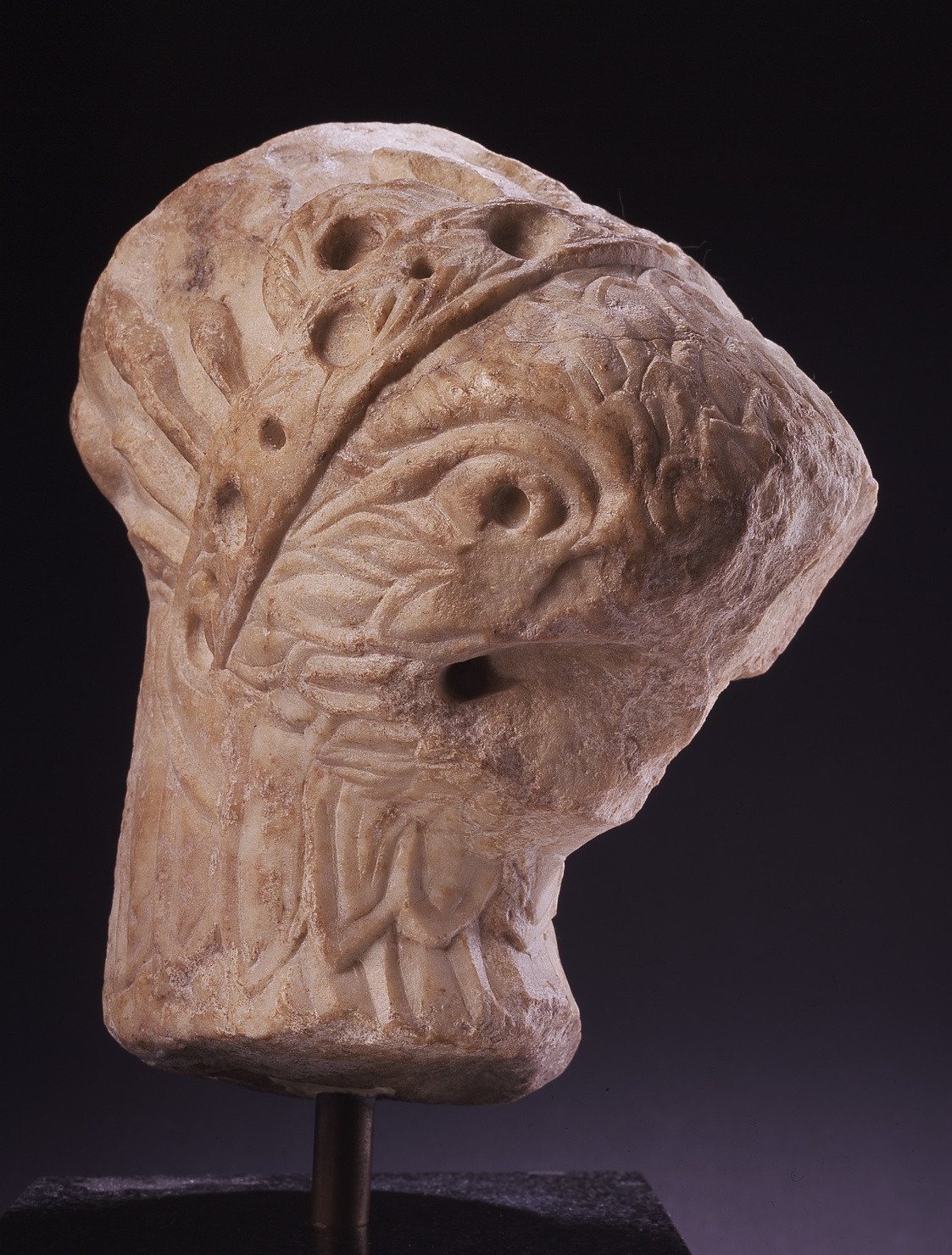 testa d'aquila (scultura, frammento) - ambito federiciano (sec. XIII)